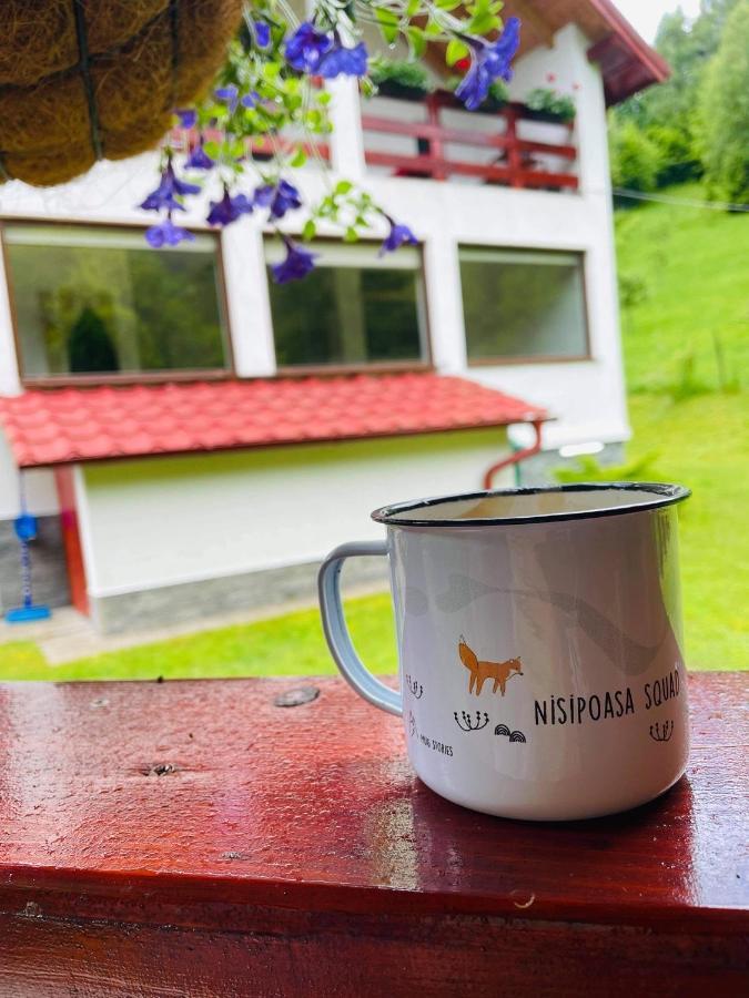 Cabana Nisipoasa Riu de Mori Bagian luar foto